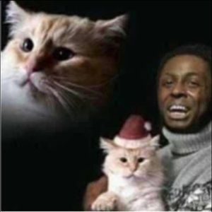 Meet your Posher, Phillip